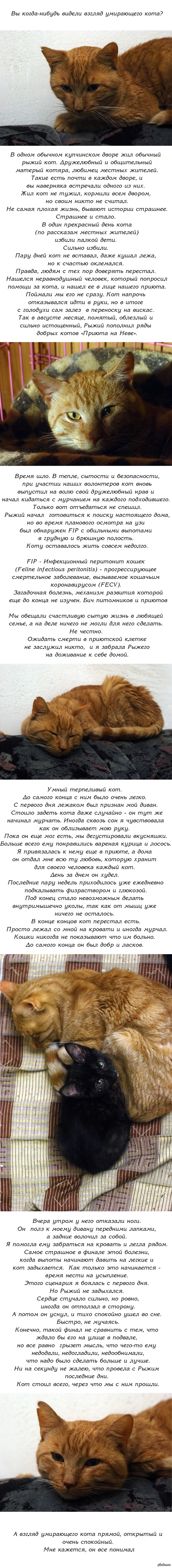 Как восстановить аккаунт на кракене