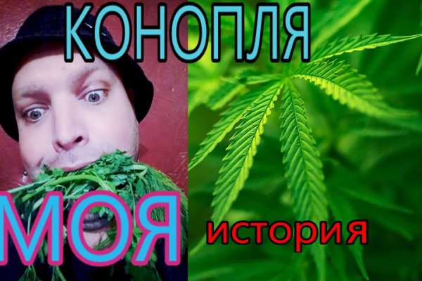 Войти в кракен
