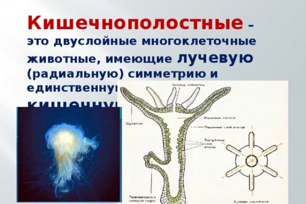 Адрес кракен в тор