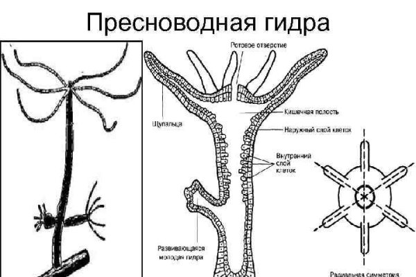 Кракен даркнет купить