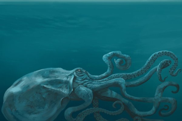 Kraken официальный сайт kraken11