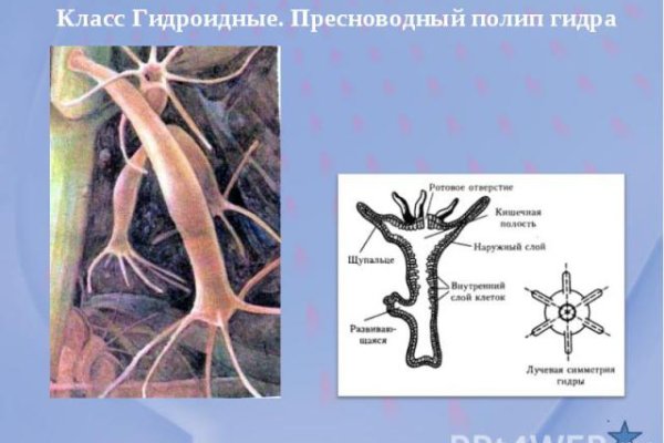 Маркет плейс кракен маркетплейс