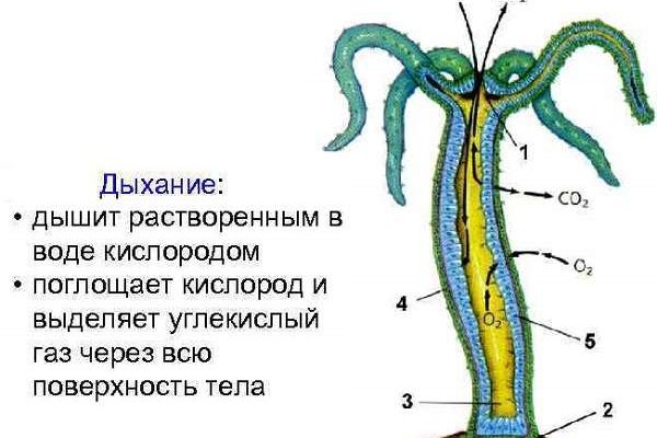Как восстановить страницу на кракене