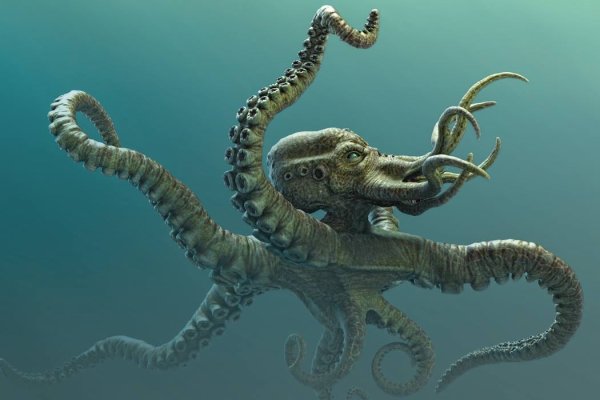 Kraken url